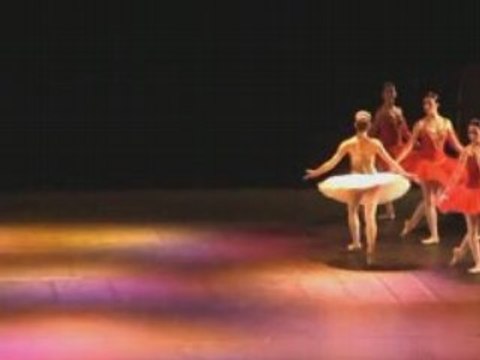 FRANCOIS MAUDUIT EX-BEJART - DANSE