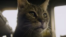 Vor 4 Jahren beeindruckte ein Zombie-Film aus Spanien bei Prime Video, jetzt folgt mit Apocalypse Z: New World endlich die Fortsetzung