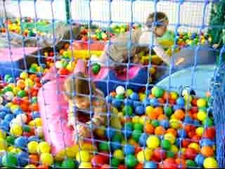 "Le Rigolou" à Saran près d'Orleans (45)