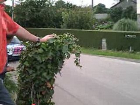 Course de Côte de la Planquette 2007