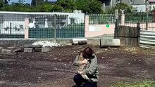 #goat #pet #funny #fypシ