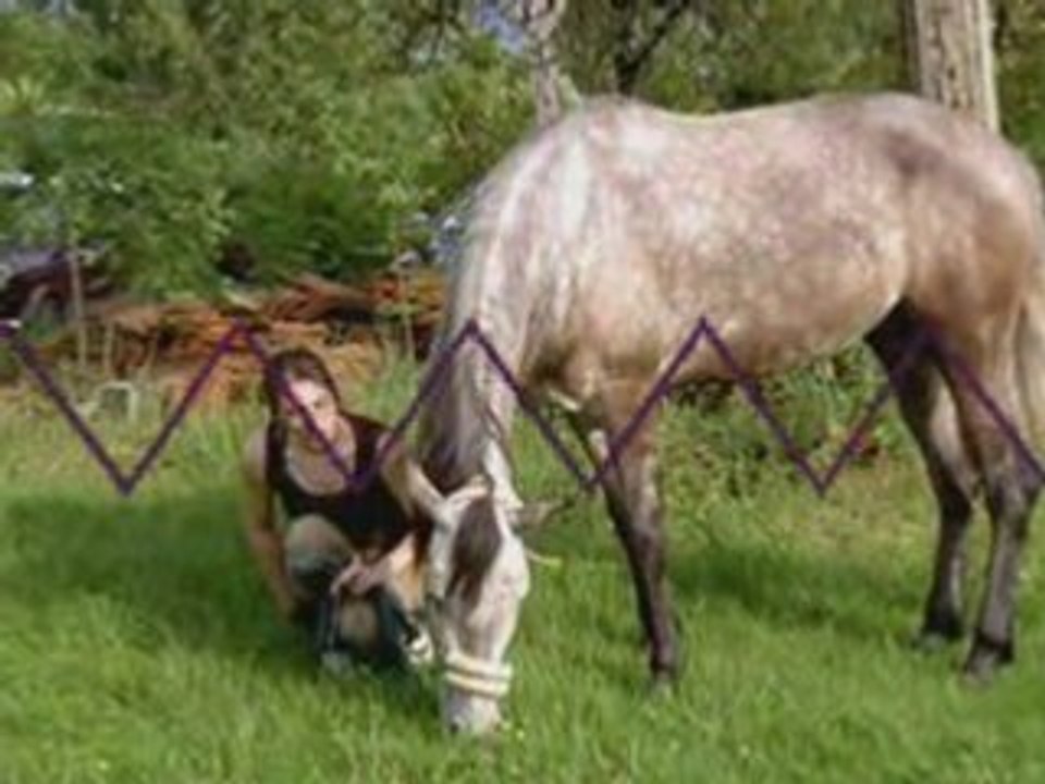 potra, mon rayon de soleil