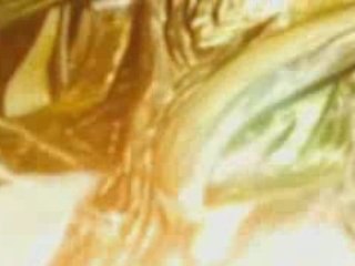 L'invocation de neo bahamut sur crisis core ff7(psp)