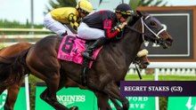 Fasig-Tipton: Fionn