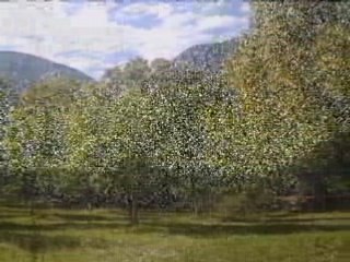 voyage à Saint Auban sur ouvèze