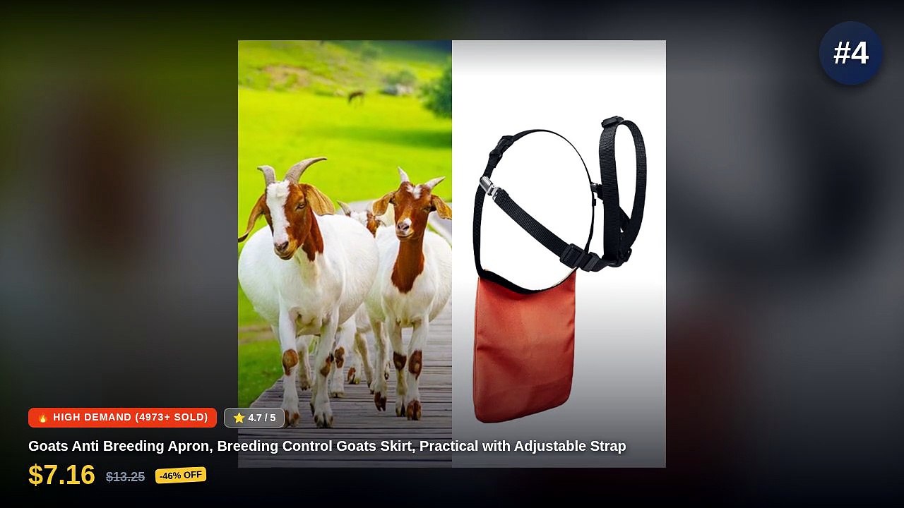 Top 5 Goat Aprons For Breeding Control: Top 5 Best Sellers - Anti ...