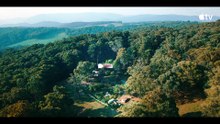 Causa abierta — Tráiler oficial   Apple TV