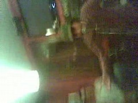 Inchallah & Amazigh Gnawa Diffusion