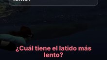 El latido más lento del mundo