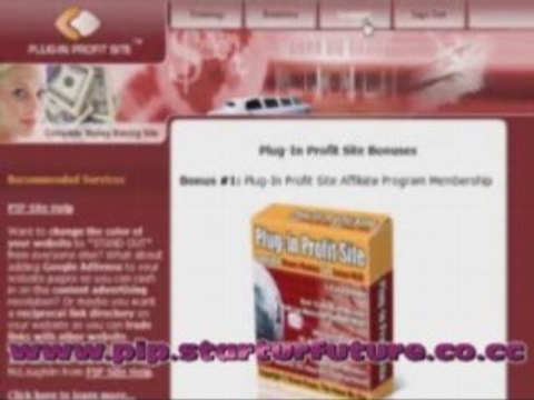 Brief overview of the Plug In Profit Site