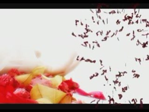 01 sois pudique - amour avant mariage