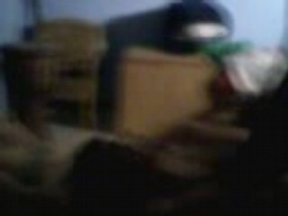 Film èrotik lol