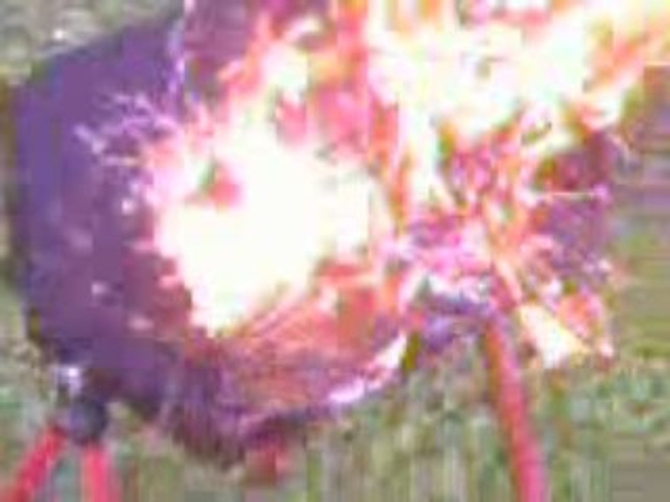 fatal barbeuc