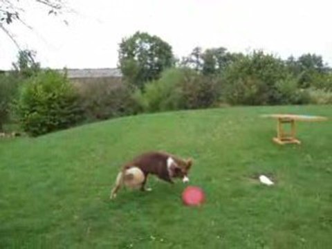 atahko berger australien