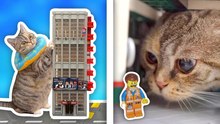 Un gato gigante destruye LEGO City