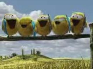 Les poules au Tennis