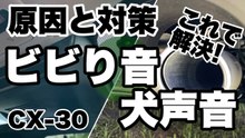 CX-30のビビリ音と犬声音を解決｜原因究明と対策をディーラーで実施