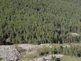 Les marmottes qui crient au pied du Mont Mézenc