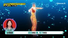 전신 쇠약이 오기 전 나타난 3가지 증상! 전신 쇠약해진 엄마를 위한 이것의 정체는?