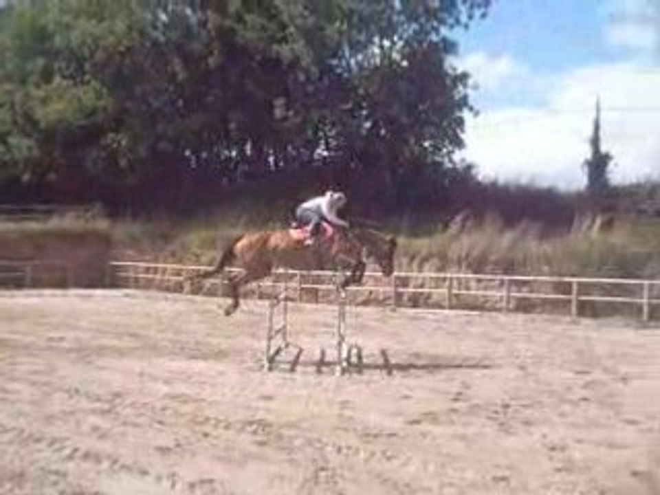 MadisonCSO