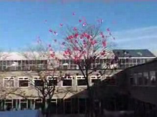 Comment foirer un lâcher de ballons ?