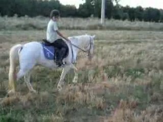 Indien dans les chaumes