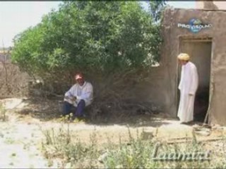 Chaabi L'3alami 2