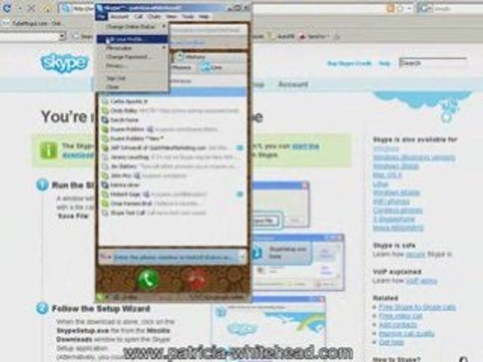 (skype introduction)