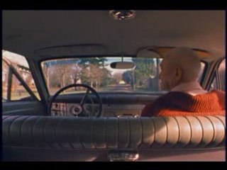 The Shins - The Past  and  Pending