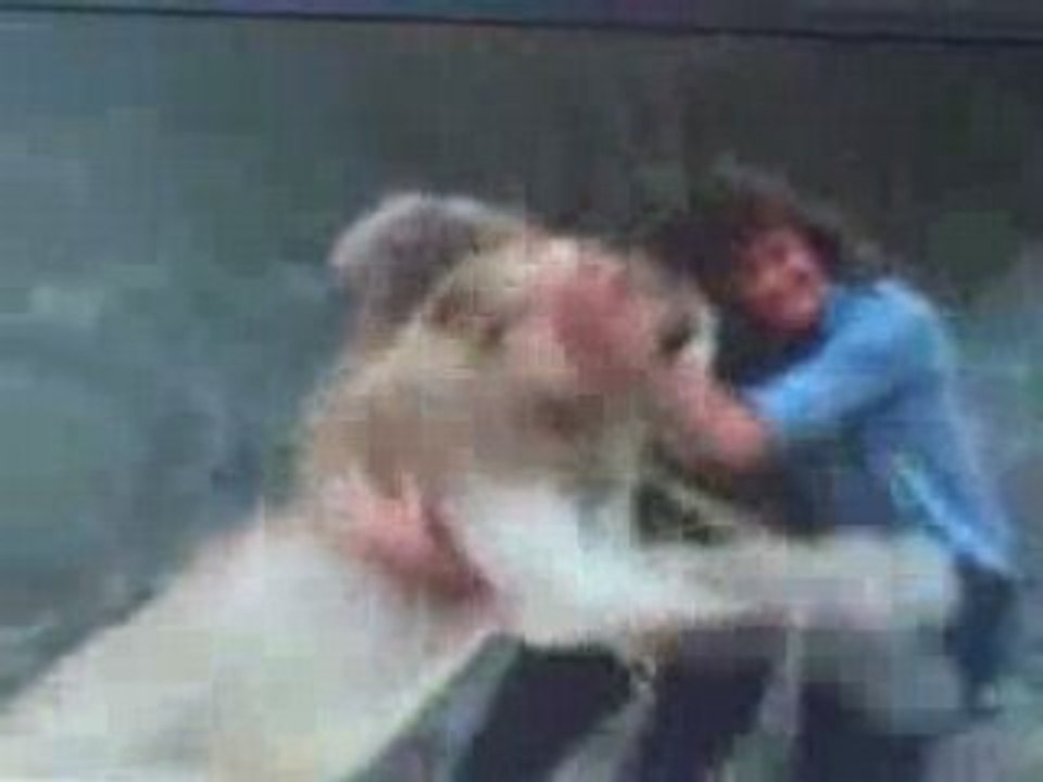 Proof That A Lion Never Forgets...