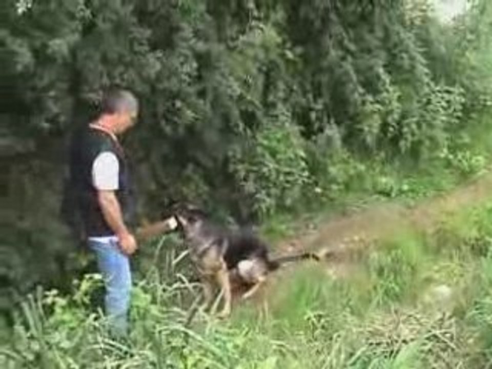 Campagne à Montiéramey