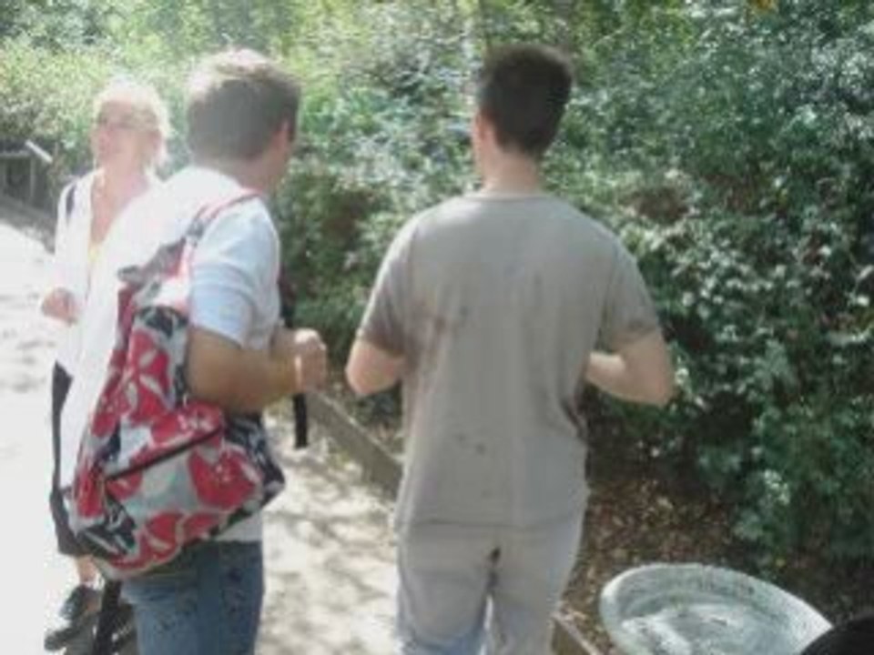 Walibi