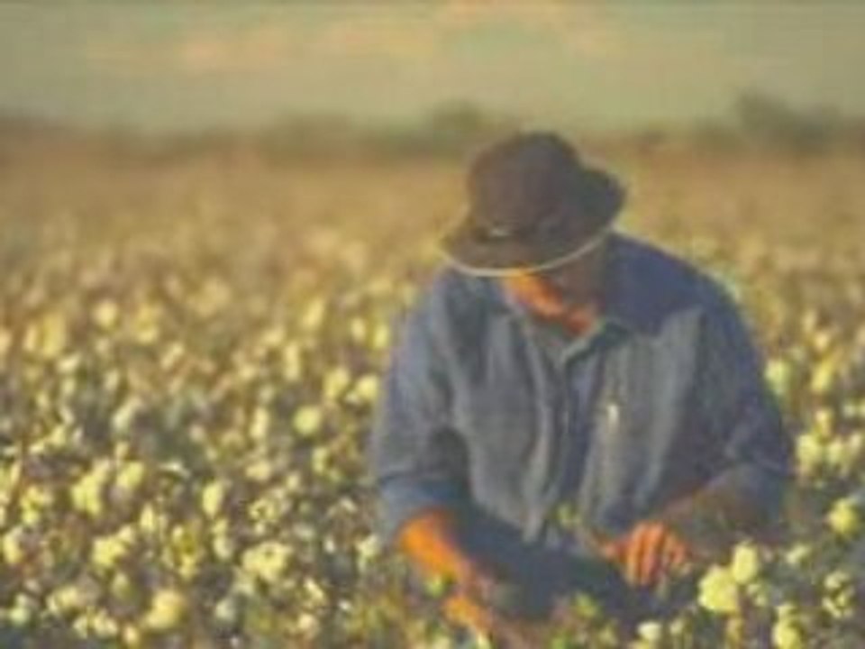 Clive James Discusses Biotech Crops in Developing Countries