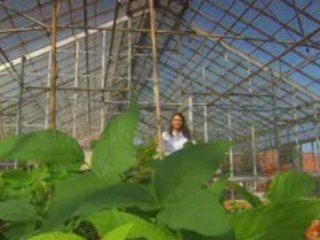 Luciana Di Ciero Discusses Genetic Engineering