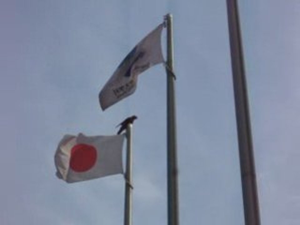 Le son du Japon, 16 : suite ornithologique 2