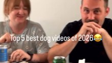 Top 5 Best Dog Videos of 2026 - Try Not To Laugh Challenge