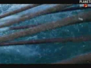 Athènes au temps de Periclès (3 sur 3)