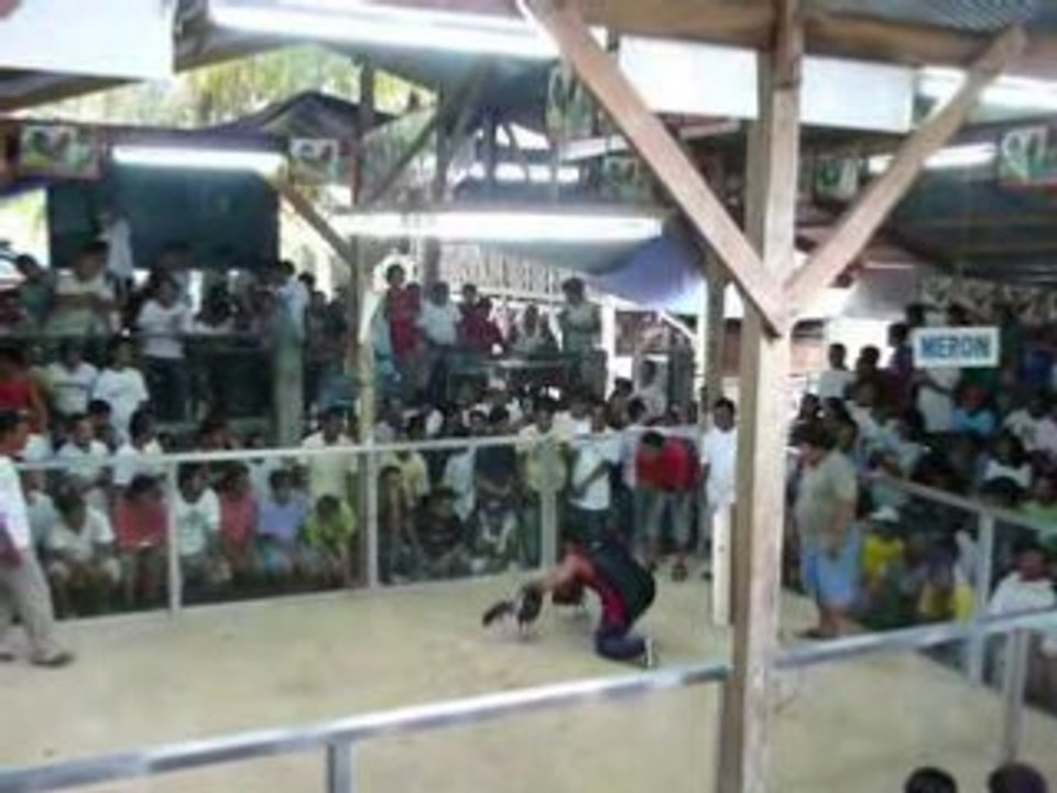 P1000905
