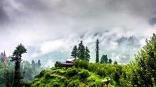 🌧️ Pluie Douce & Brume dans la Nature _ Musique Relaxante