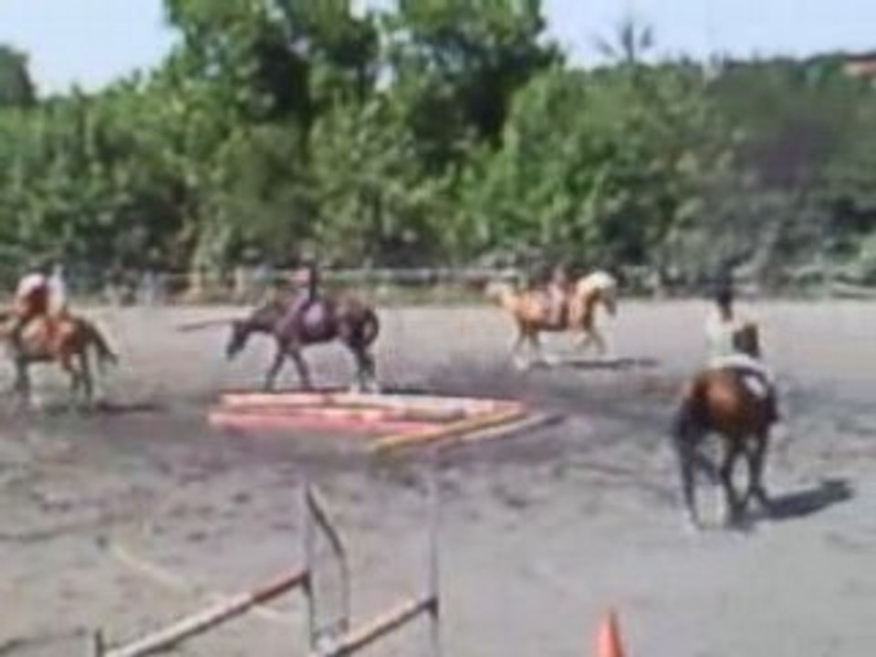 séance avec gump à vigoulet