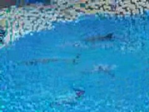 Parc Asterix le 10 Août 2008