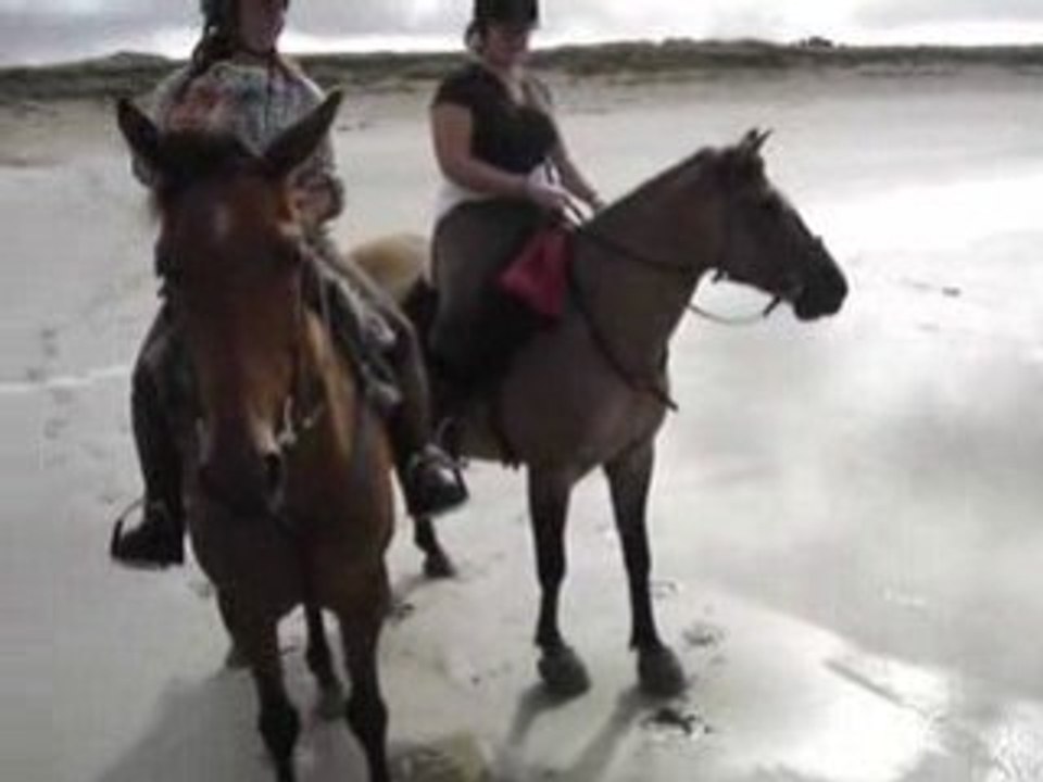 crozon2008
