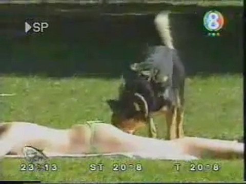 2008_camara-oculta-perro-huele-culos