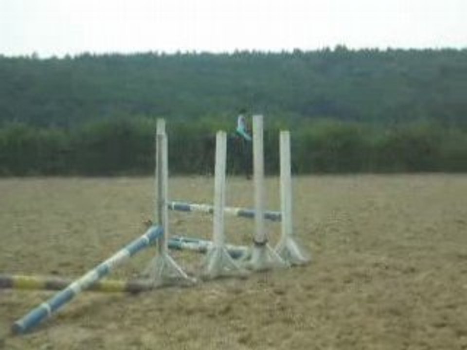 obstacle