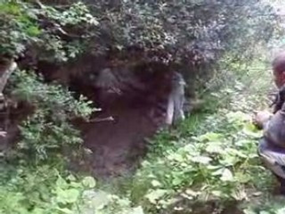 SV_A0043