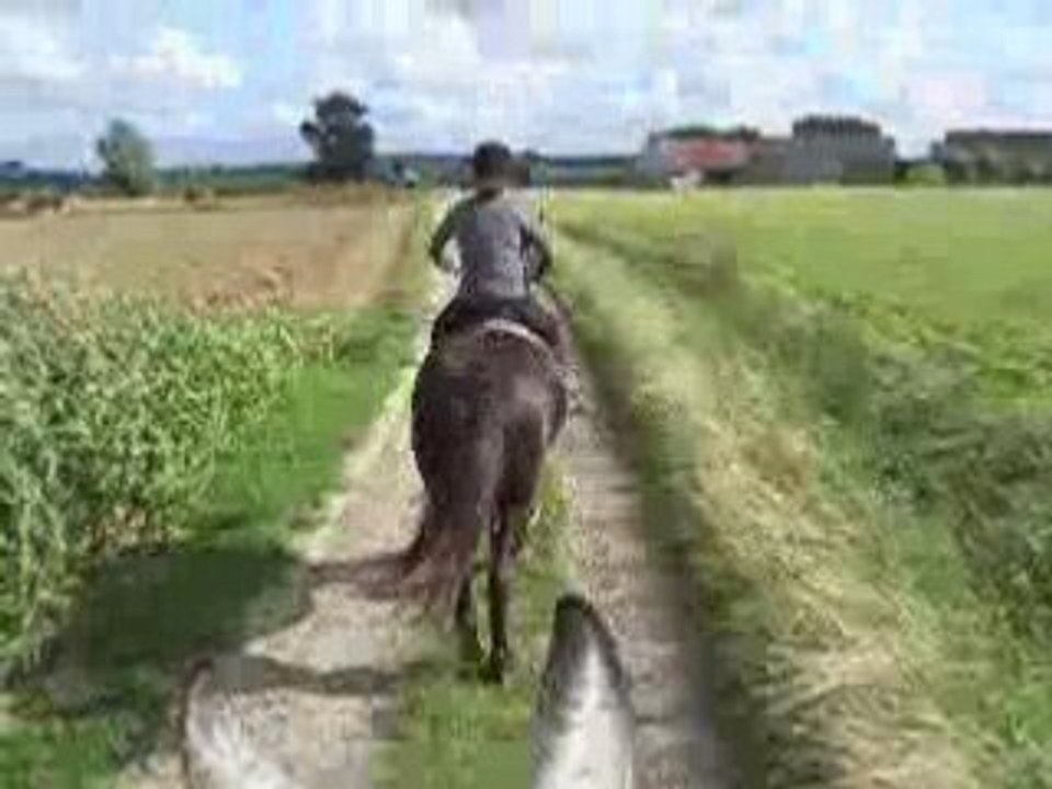 DSCN8079