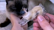 Adorable Cat Keychains | Cute Acrylic Cat-Themed Accessory