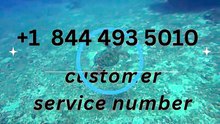 ✈️ Southwest Airlines® Customer Service Number™ — Traveler Assistance