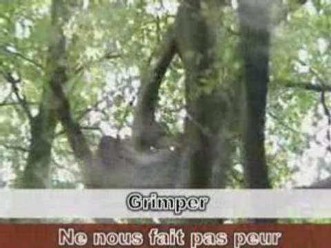 airsoft scorpion and sniper charleroi