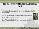 Organic Gardening Pest Control Tips - 3 Quick Tips Before Yo